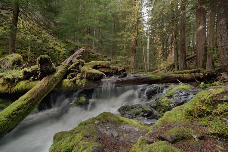 10. Washington